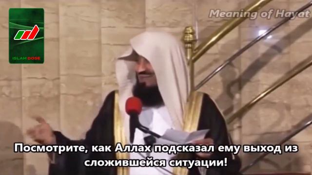 Истории Пророков Айюб и Юнус (мир им)