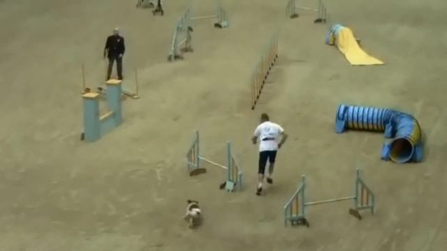 ::AGILITY:: Team Finland