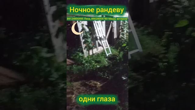 Ночное рандеву