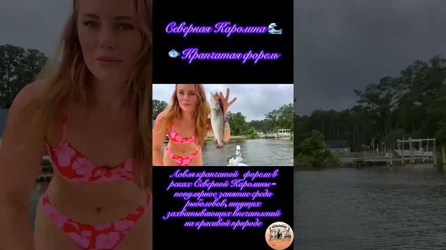 Северная Каролина 🌊 Крапчатая форель🎣