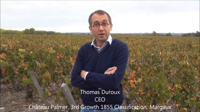Château Palmer, Thomas Duroux & Bordeaux Winebank