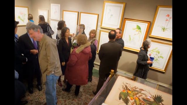 Heeyoung Kim: Native Plants of the Woods and Prairie, Joel Oppenheimer Gallery, March 2015