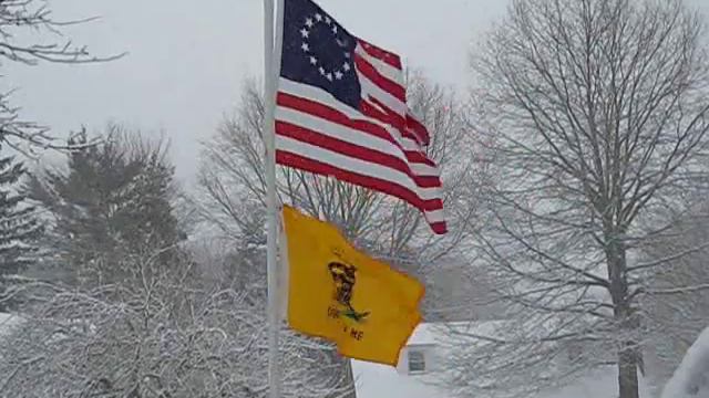 Betsy Ross and Gadsden Flags