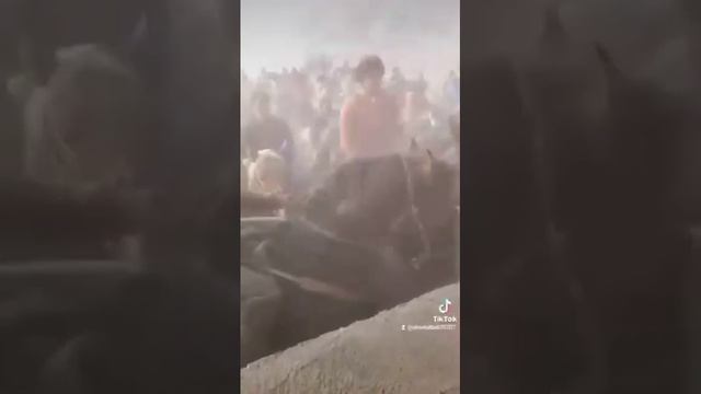 машхур бек от