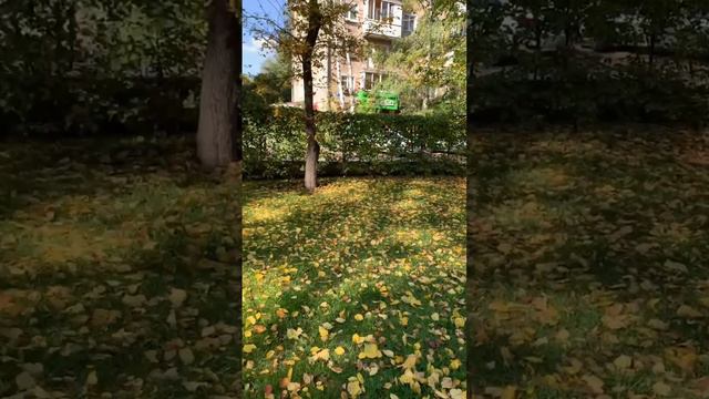 Осень