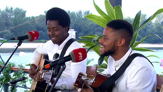 AFRIČKI TOŠE PROESKI