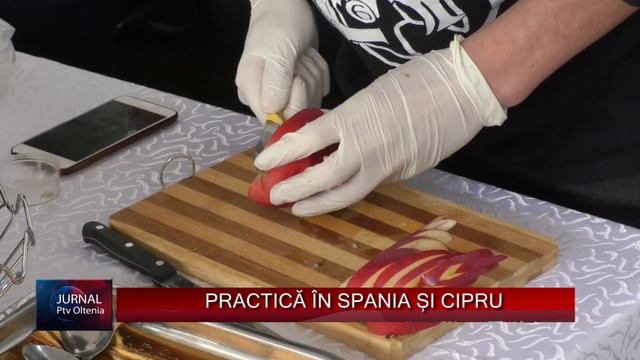 PRACTICĂ ÎN SPANIA ȘI CIPRU
