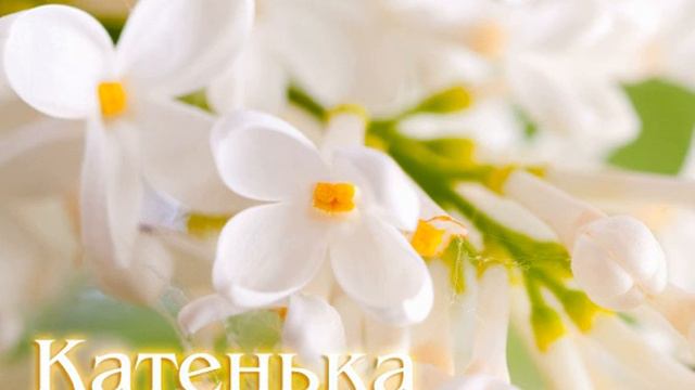 АХ КАТЮША , АХ КАТЮШКА....авт.Л.АСТАШОВА.....исп.В.СИДЯКИН