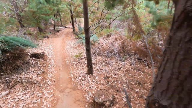 Eoin and brendo busting the blue at Murray Valley #mtb #spectral #rockymountain