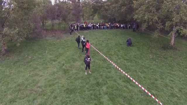 CROSS 2015 Collège Colette - Saint-Priest 69800