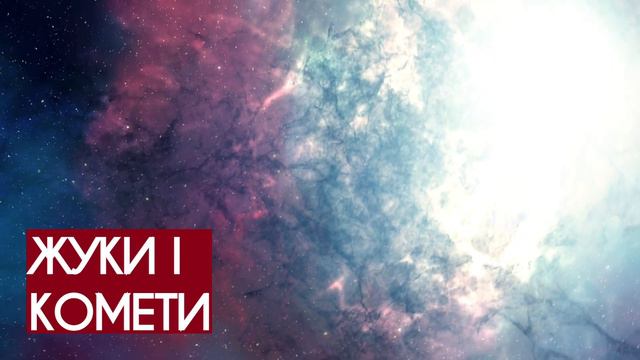 "Жуки і комети" - Дмитро Лазуткін