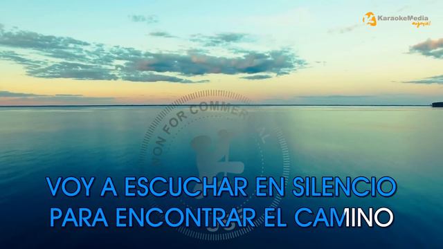 Marc Anthony - Vivir Mi Vida LETRA (INSTRUMENTAL KARAOKE)