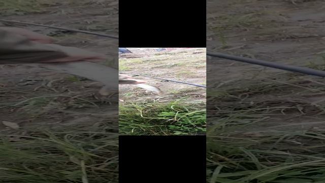 Оксана ловит щучек