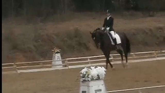 Долгожданный. Предварительный приз дети - 59,42