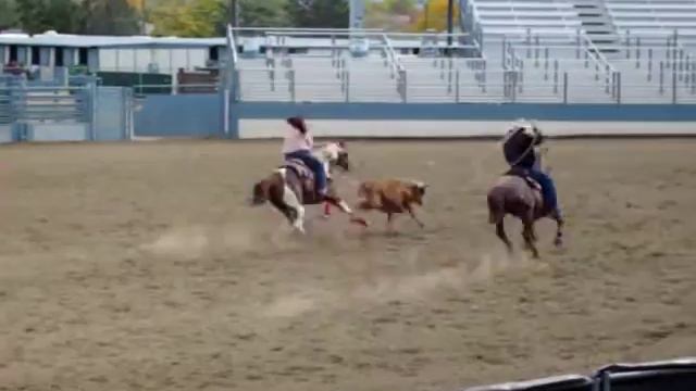 Jeana Dotson & Steve Felton Team Roping