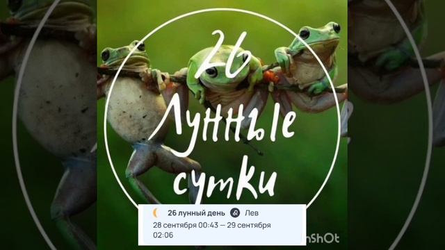 26 Лунные сутки