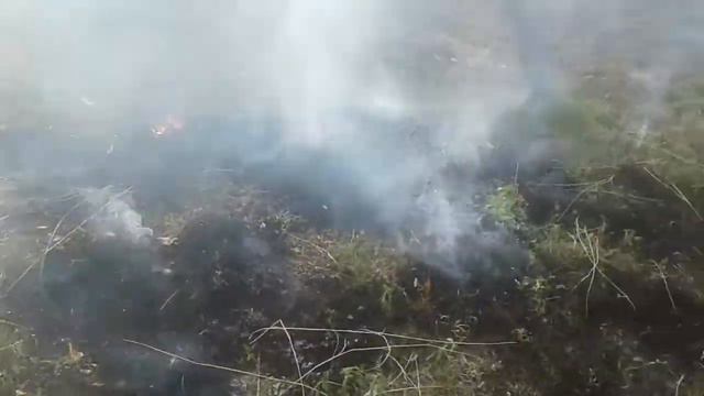 Гелон Шудгор 2