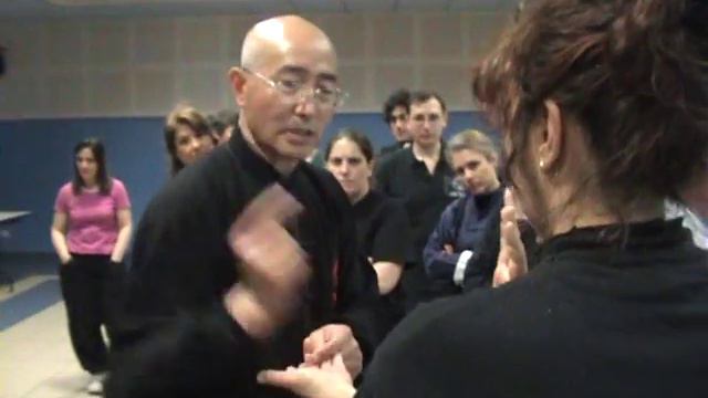 Taiji Quan a Roma - M° George Xu: "Emettere Energia" (Fajing) e "Far Vibrare l'Energia" (Shake)