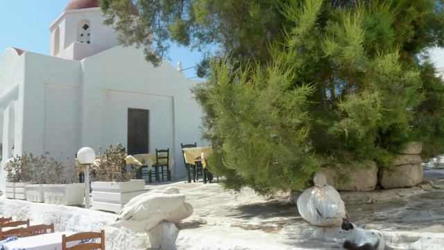 Mario : Mykonos 2010