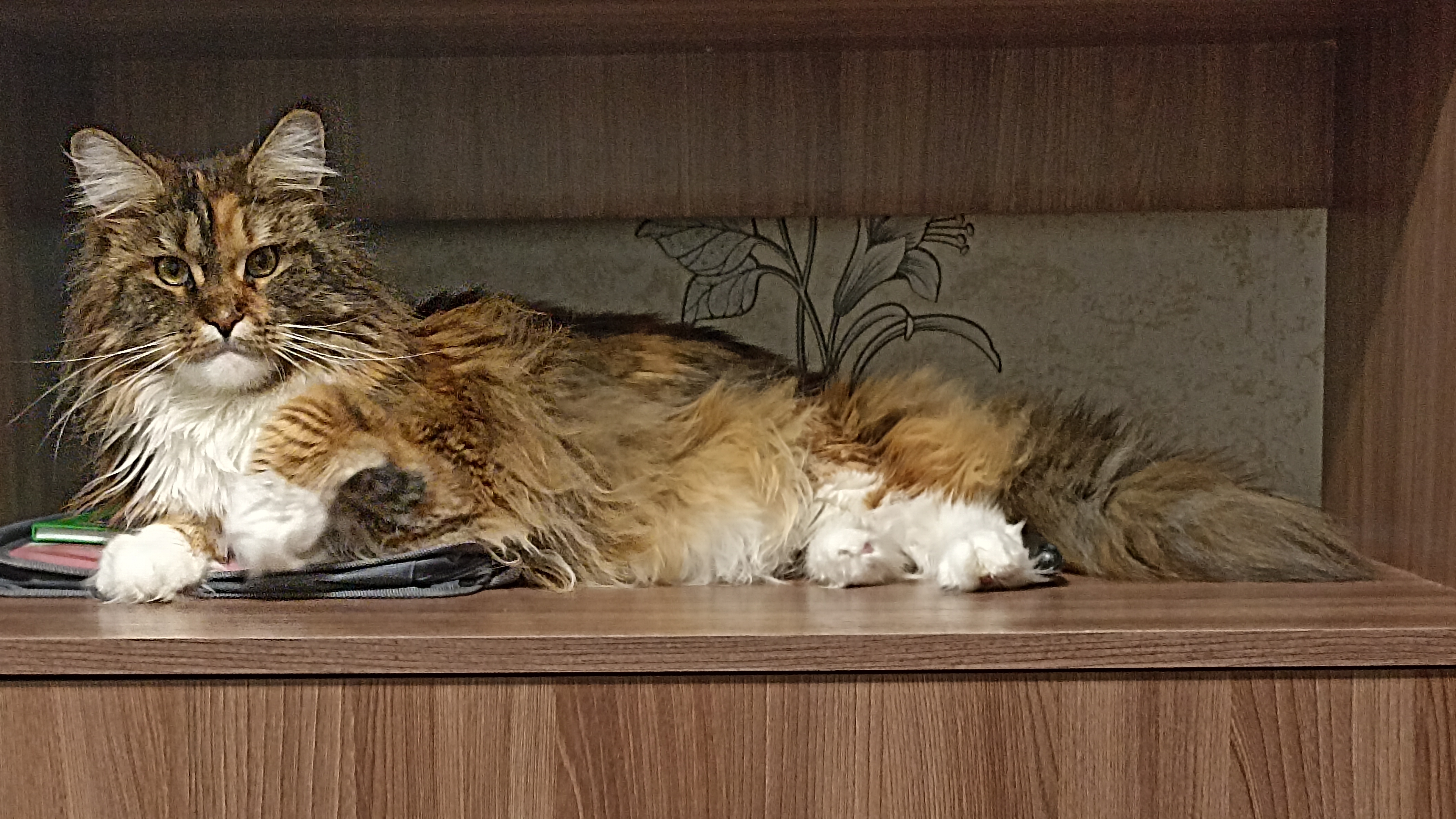 Горы