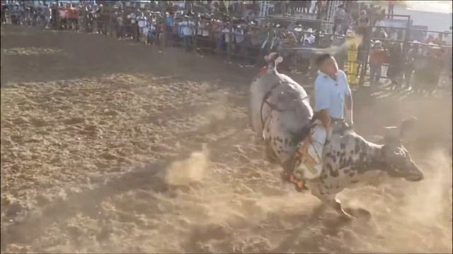 Panchillo torres vs papa de los pollitos de Rancho la Huerta