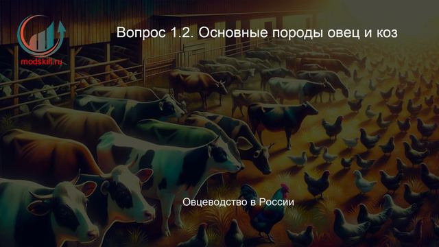 Зоотехния. Профпереподготовка. Лекция. Профессиональная переподготовка для всех!