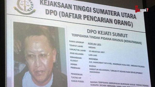 Hasil Merugikan Negara Ratusan Milliar! Inilah Ladang Bisnis & Tumpukan Kekayaan Koruptor Adelin Li