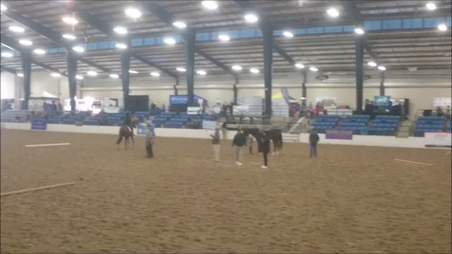 Cash On The Run - Bernie Traurig, Denny Emerson, David Hopper, and Tiffany Teeter Evaluation