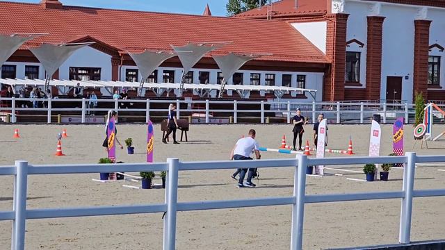 Соревнования по хоббихорсингу в Центре национальных конных традиций на ВДНХ (21.09.2024)