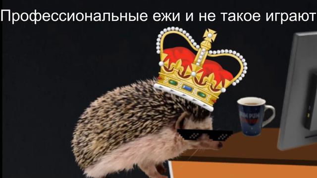 Реакция Императора Ежей на "Top 5 Hedgehogs"