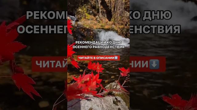 Рекомендации ко дню осеннего равноденствия 🍁

Сегодня — 22 сентября — день осеннего равноденствия