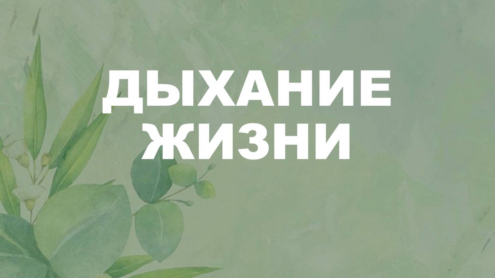Диагностика дыхания // Курс "Дыхание жизни"