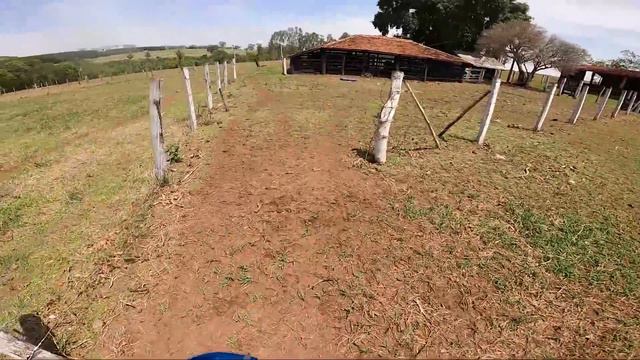 ROUBARAM A RAÇÃO DOS MEUS ANIMAIS
