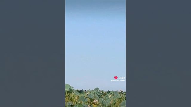 Астрахань экскурсия с рыболовной базы fish klub #лотосполя