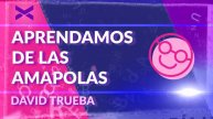 CUENTO APRENDAMOS DE LAS AMAPOLAS - DAVID TRUEBA