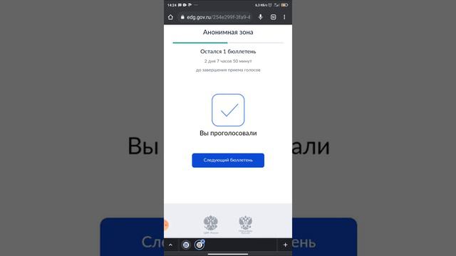 Тестовое дистанционное голосование в думу.