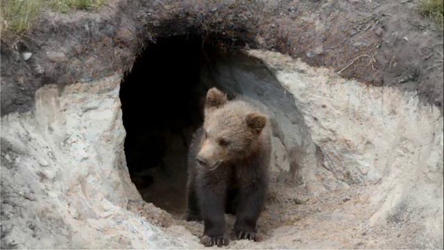 Абдульмахмуд Рахимов. Слышала звон