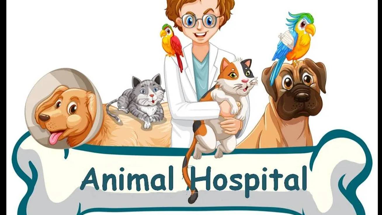 #Spotlight 4. THE ANIMAL HOSPITAL. #Лексика по теме _Город_City_. Present Simple