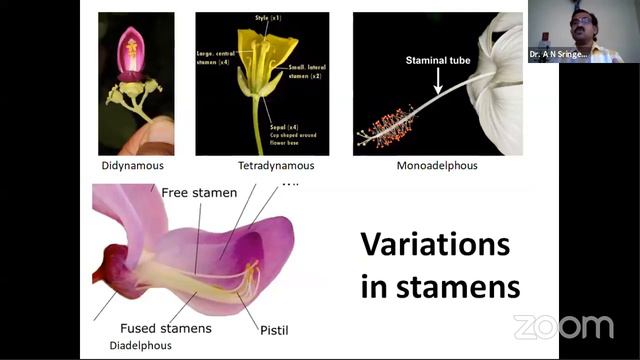 An Approach to Field Taxonomy