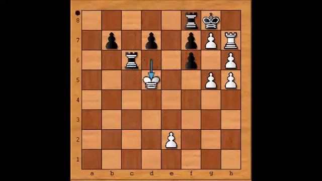 Amazing chess puzzle with 26 checks in a row