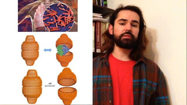 Dzenan Kovacic 3MT Presentation: Novel Eukaryotic vault-based method for pulmonary tuberculosis