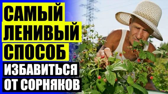 🔵 Как избавиться от сорняков уксусом ❕ Как вывести сорняки на участке народными средствами 😎