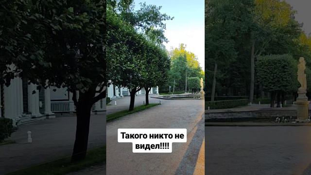 Такого никто не видел!!