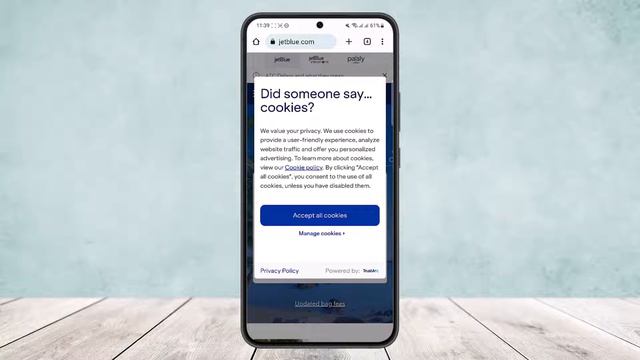 JetBlue - How To Check In !