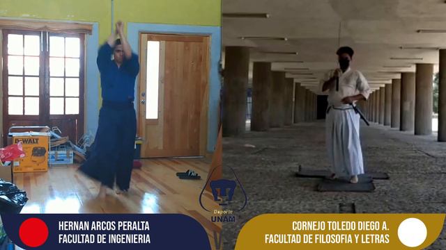 HERNAN ARCOS PERALTA vs DIEGO ALEJANDRO CORNEJO TOLEDO