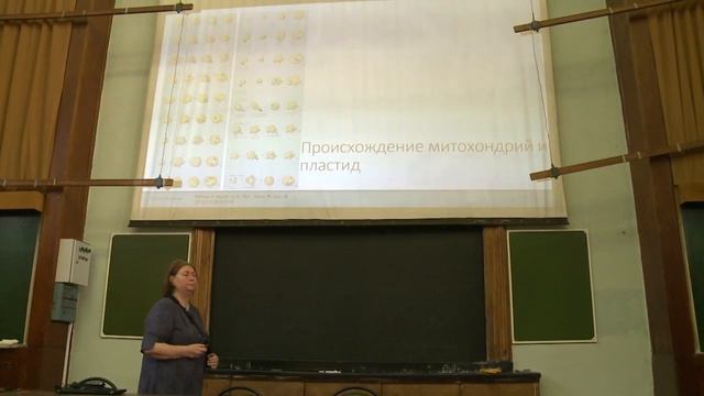 2. История систем органического мира. Альгология - Белякова Г. А. Teach-in.