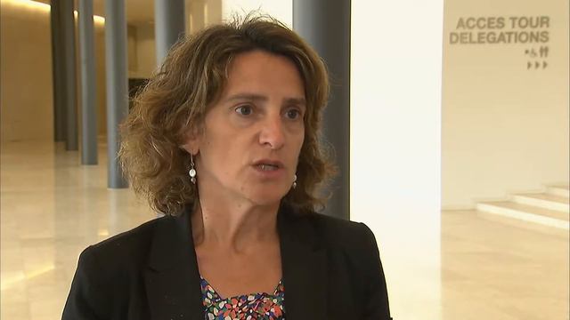 Declaraciones De La Ministra Teresa Ribera. Consejo De Medio Ambiente 26/06