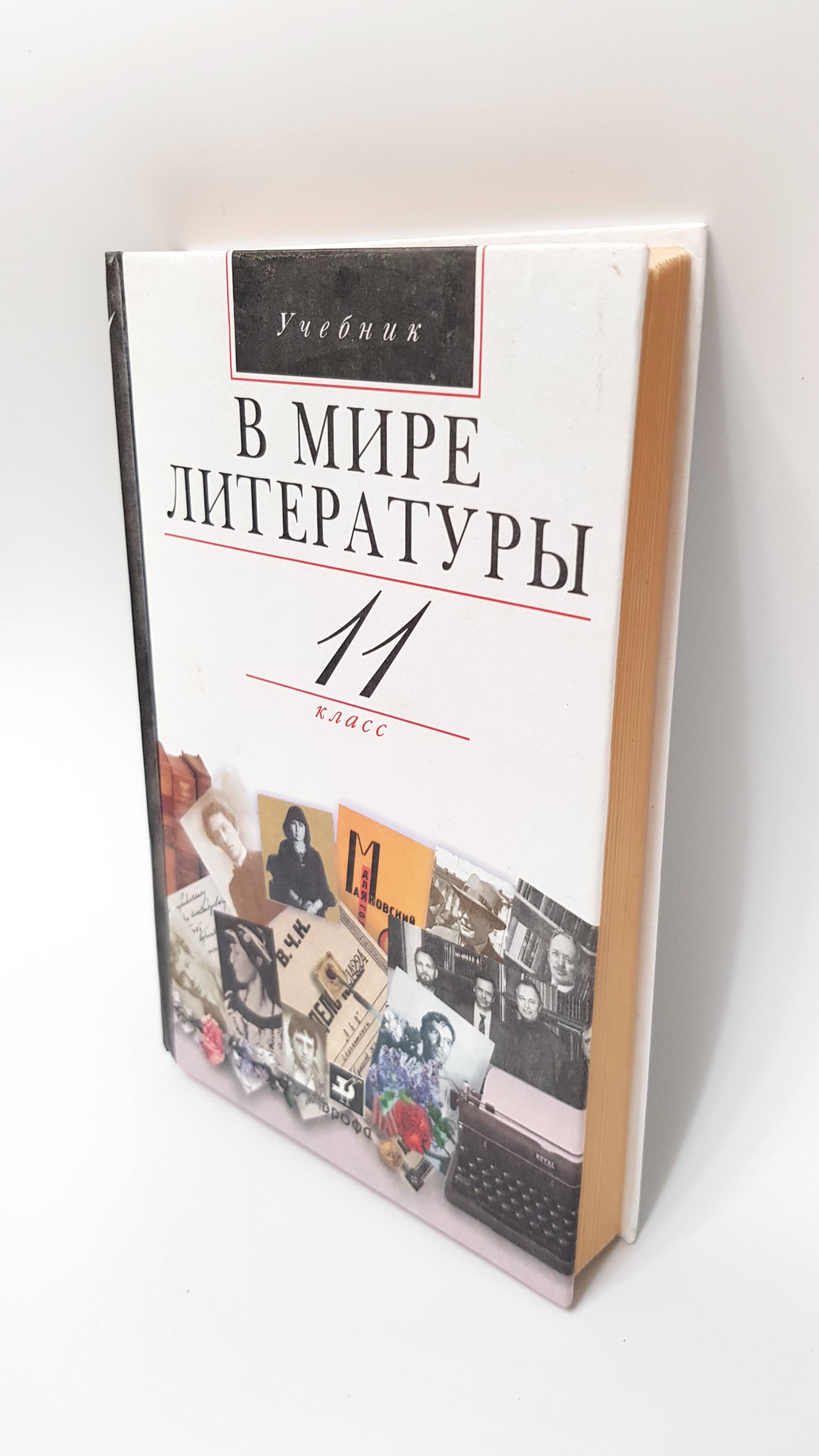 Книга литература 11 класс