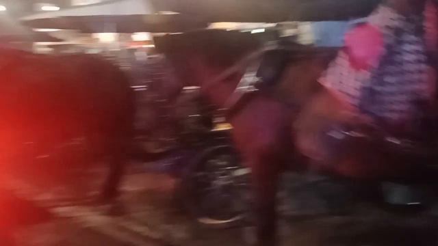 Cloter II Jogya. Malioboro Becak. Anw & Pakor