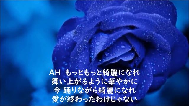 抱きしめてTONIGHT 田原俊彦 Cover Akkey